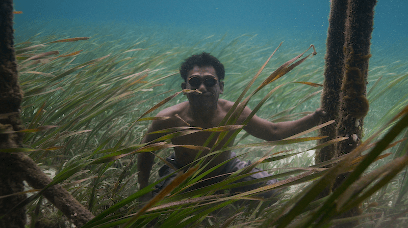 Face du Monde en 4K. Sans publicité.