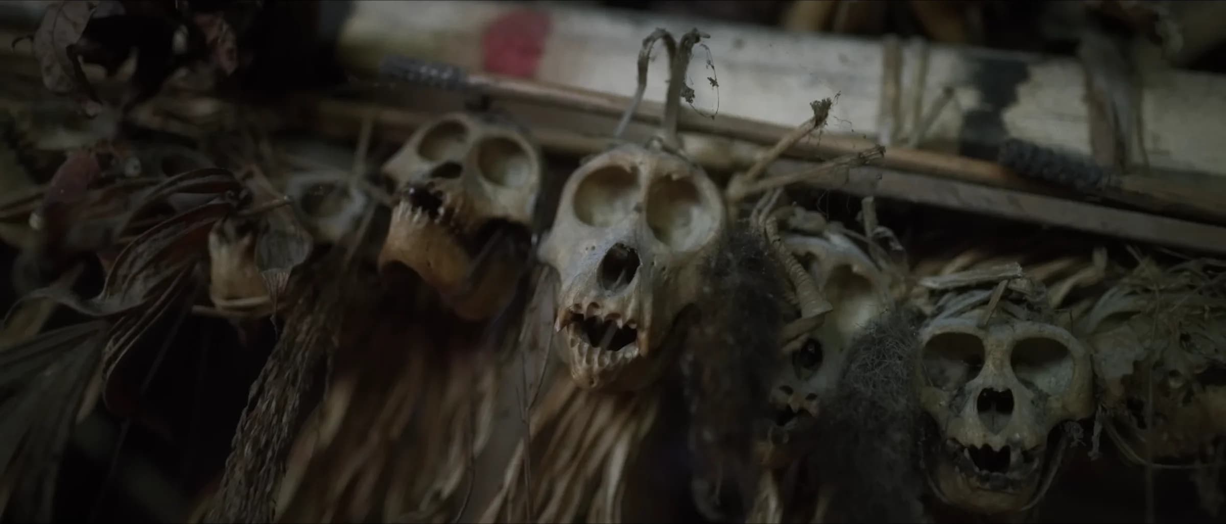 Ce peuple vit comme il y a 2 000 ans — rencontre avec les Mentawai, derniers chamanes de la jungle