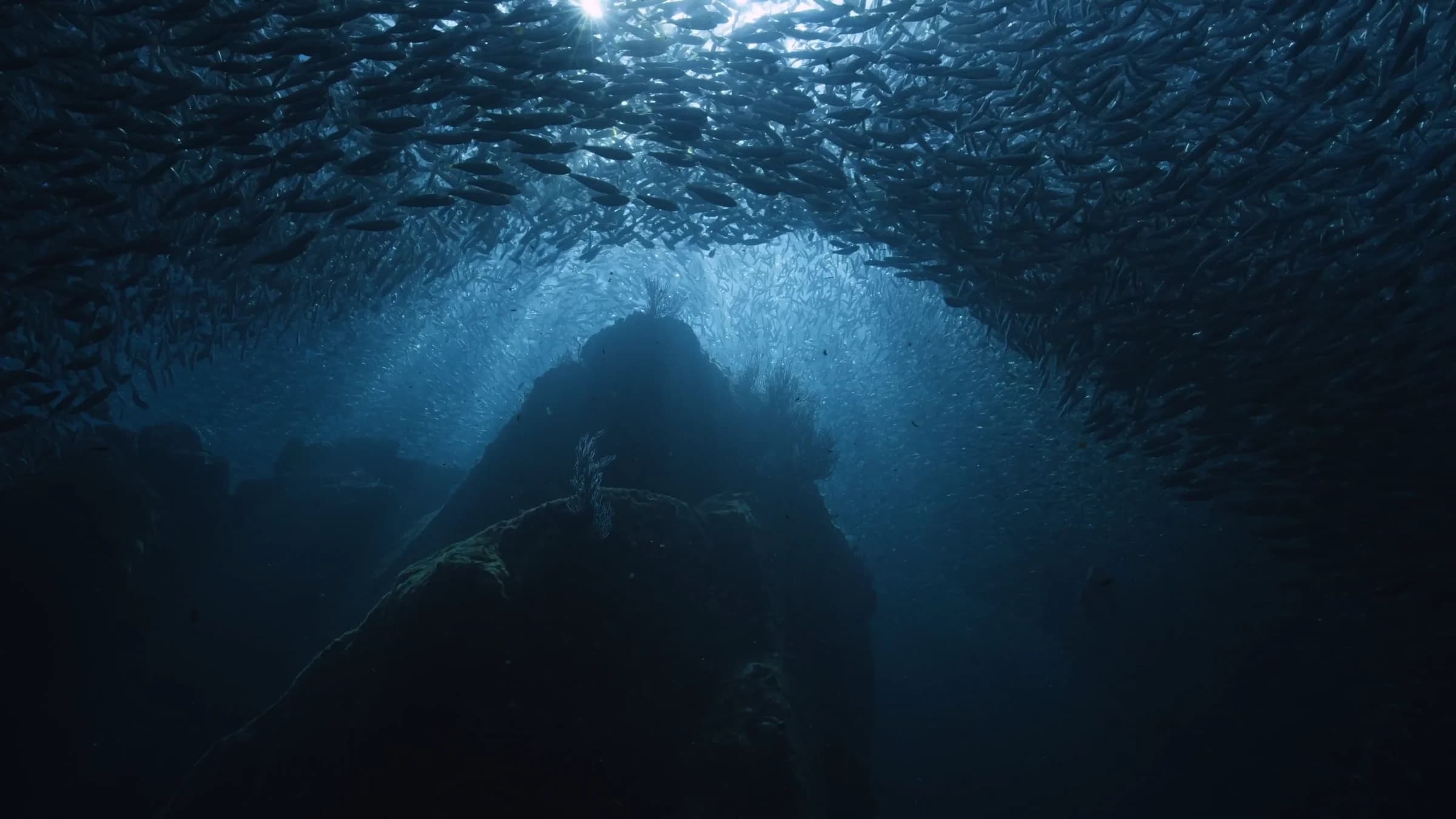 13 minutes sans respirer : rencontre avec les Bajau, le peuple dont le corps s'est adapté à l'océan